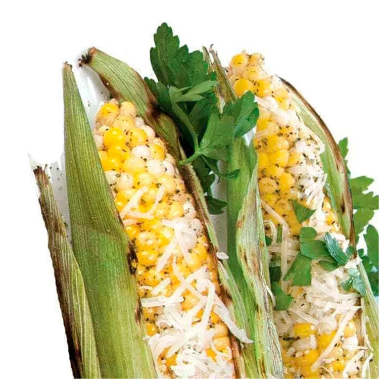 Chipotle Parmesan Corn on the Cob Seasoning Blend